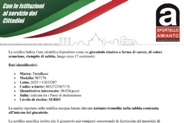 ATTENZIONE- Giocattolo pericoloso!